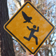 Illustration for article titled owl attack: update